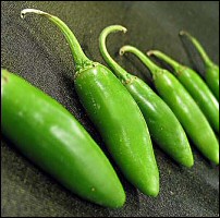 Serrano Chile Pepper seed Capsicum annuum Serrano